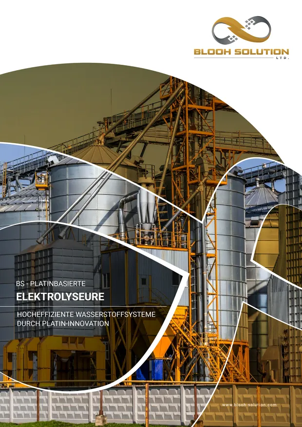 Platinum Electrolyzers Document